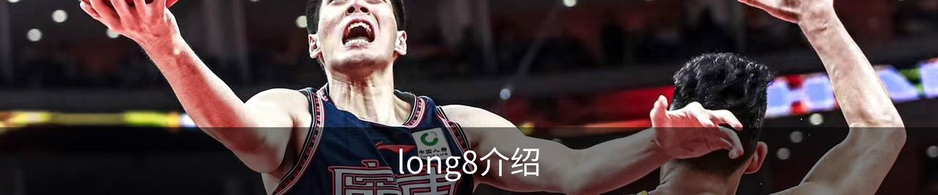 long8介绍