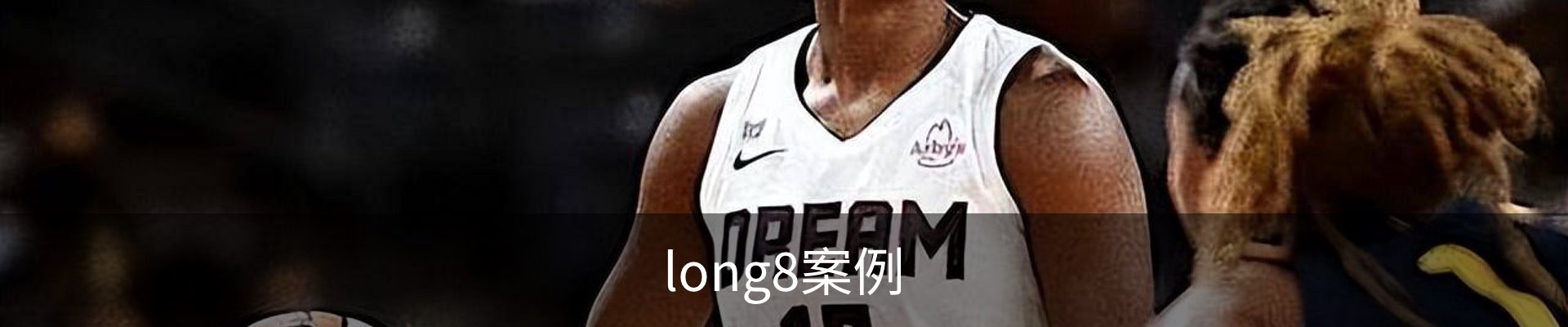 long8案例